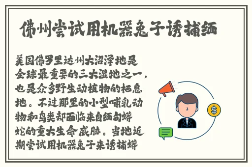 无人区码卡二卡三